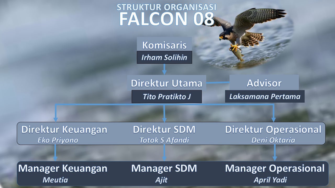 Falcon08